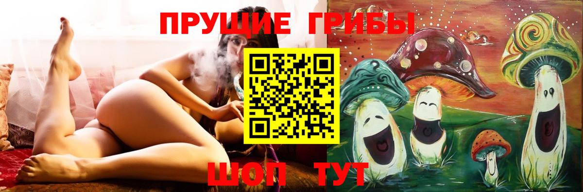 Похвистнево  Псилоцибиновые грибы Cubensis  что такое наркотик  Вход с VPN 
